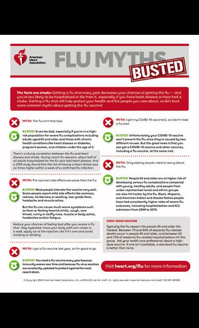 Flu myths busted infographic