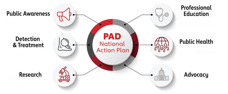 PAD Action Plan summary