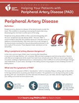 PAD vs PVD fact sheet