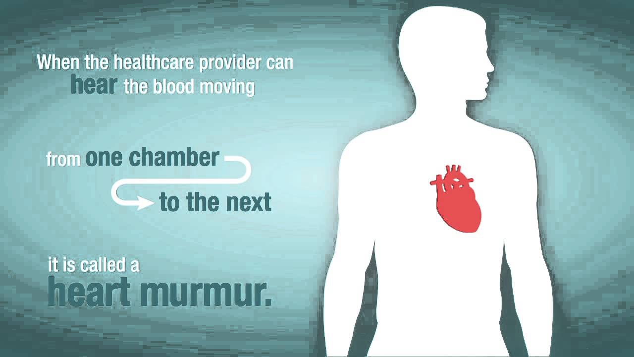 Heart Murmurs and Valve Problems video screenshot