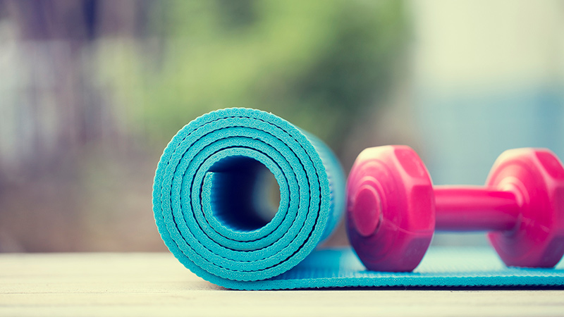 Facilities and equipment used in physical hotsell fitness and exercises