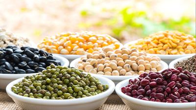 BeansLegumes
