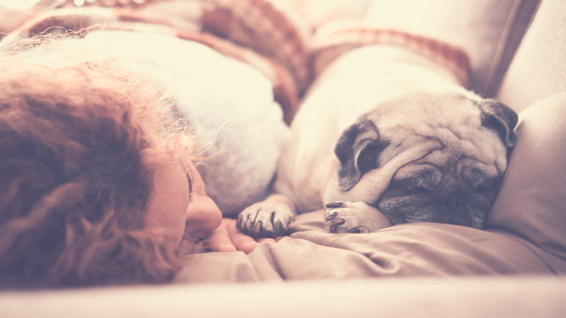 Woman napping with dog