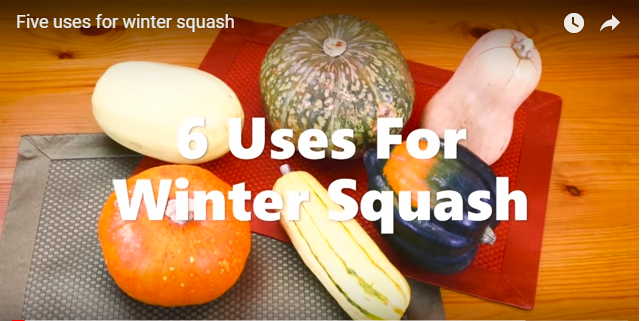 5 Uses for Winter Squash