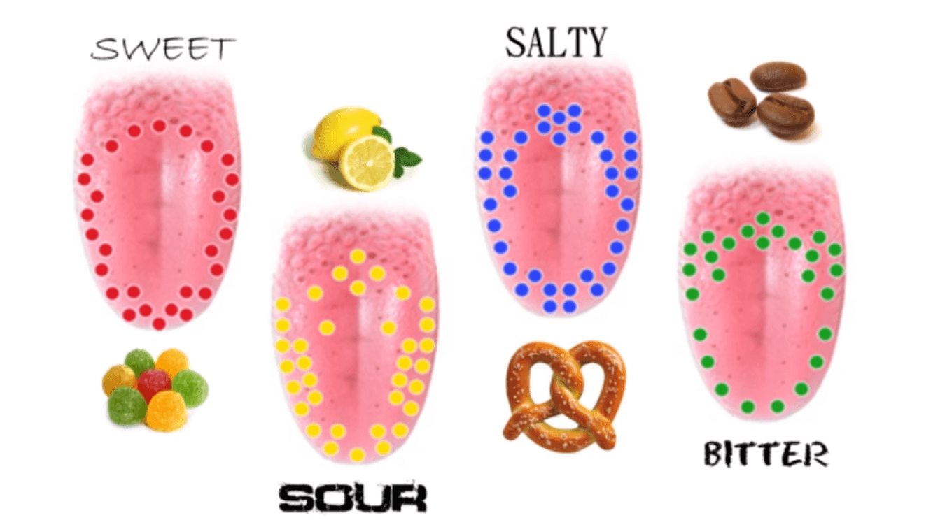 Your Taste Is A Little Sweet Scan How Taste Works Video | American Heart Association