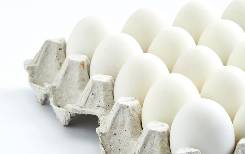 Check Out The Top Ten Health Benefits of Different Types of Eggs!