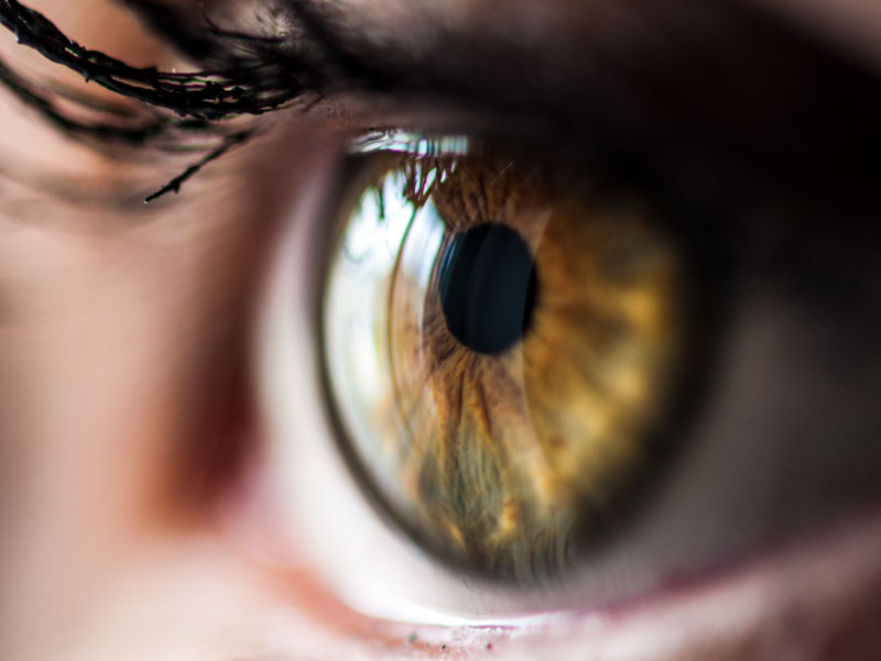 You Don't Even Want to Know About All the Stuff Living on Your Eyeball, Smart News