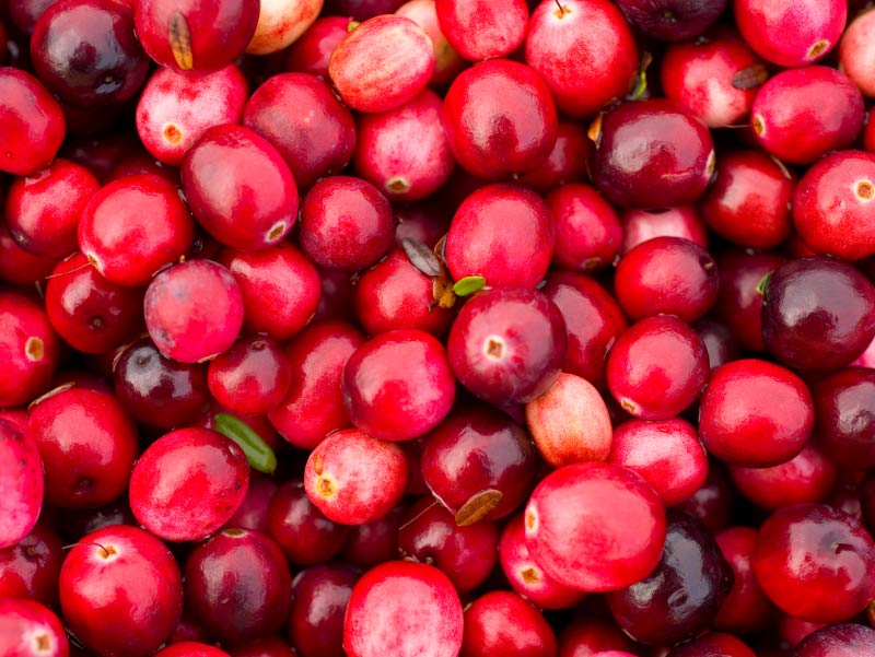 Be thankful for cranberries' health benefits all year long