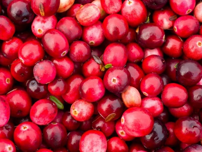 A pile of cranberries