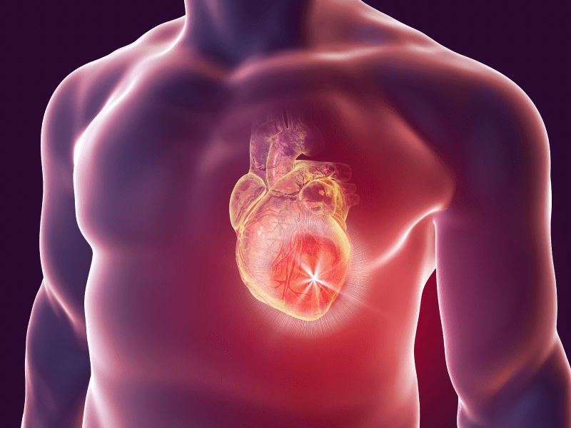 The heart isn't particularly vulnerable to cancer – and here's why | American Heart Association
