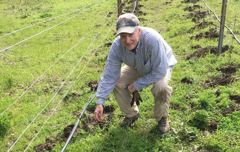 Robert Harrington, working at his family's Vista Verde Vineyards. (Photo courtesy of Robert Harrington)