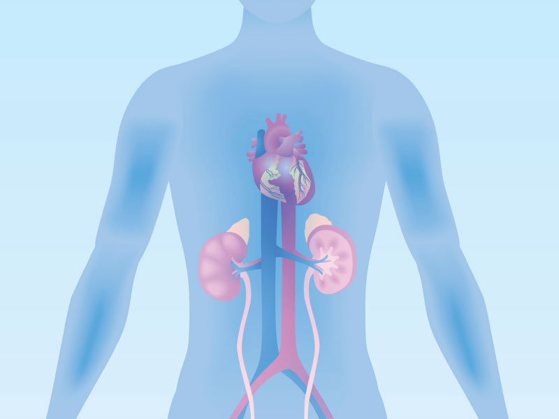 The connection between diabetes, kidney disease and high blood