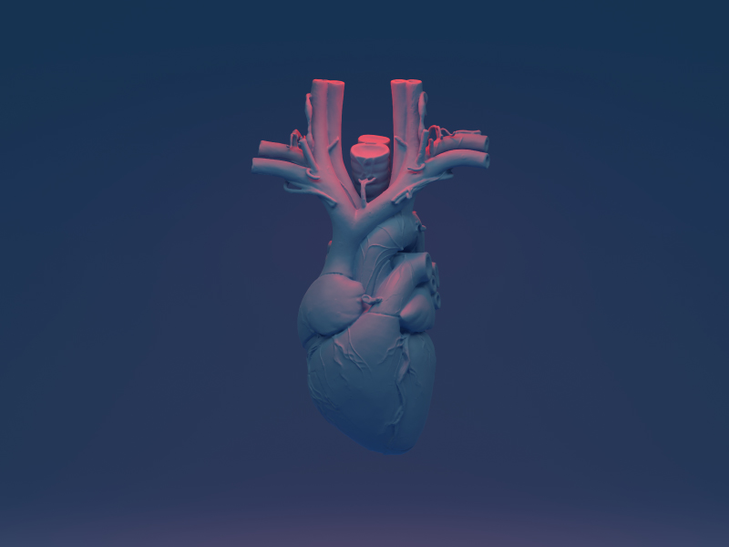 www.heart.org