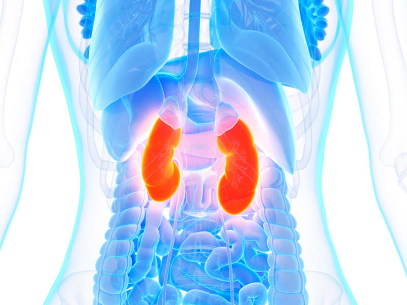 High blood pressure may raise future kidney disease risk for