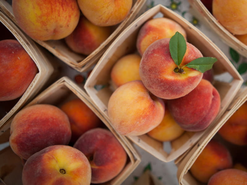 Why You Should Eat Georgia Peaches