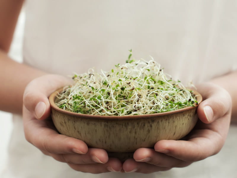 Tiny sprouts provide big nutrition