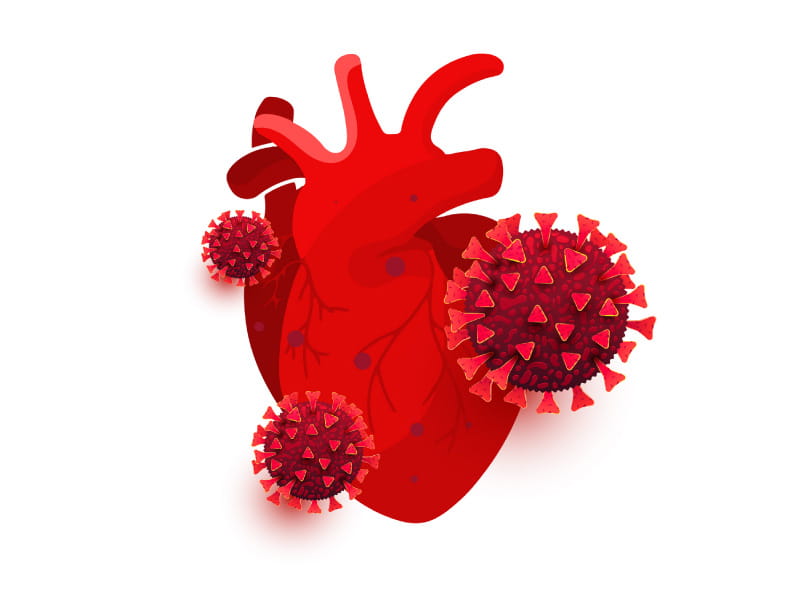 Researchers take a more in-depth have a look at what COVID-19 does to the guts