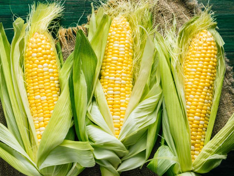 More than a kernel of truth: Corn can add a healthy crunch to your