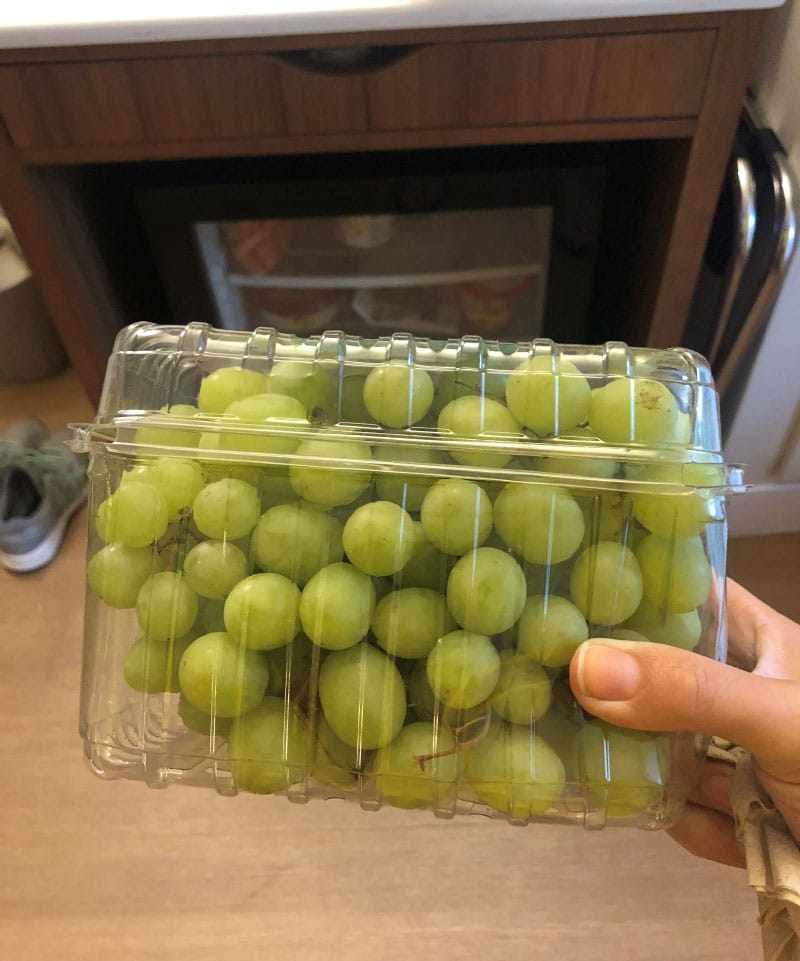 Theresa Gentile llenó el refrigerador de su habitación de hotel con fruta fresca durante unas vacaciones familiares en Walt Disney World en 2021. (Foto cortesía de Theresa Gentile)