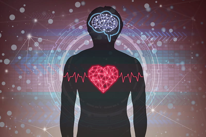 illustration showing a stylized view of the heart and brain over the silhouette of a human body