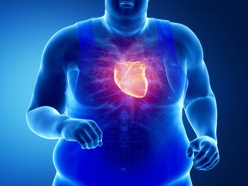 Digital blue human figure showing the heart.