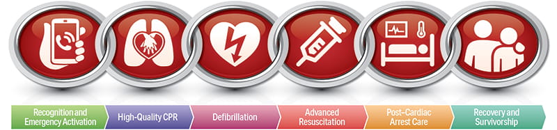 graphic depiction of the 6 links in the adult out-of-hospital Chain of Survival