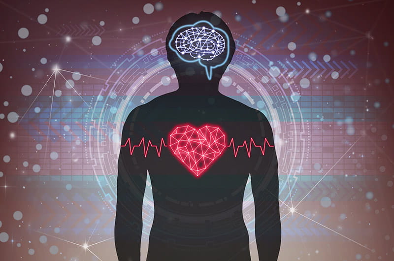 Heart In Human Body Graphic Image