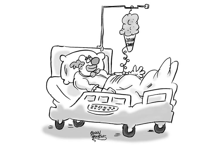 Hearty Humor - Clown IV