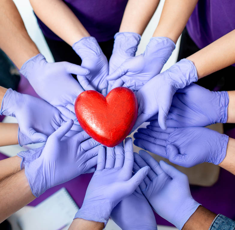 Photo of hands in surgical gloves holding a red heart