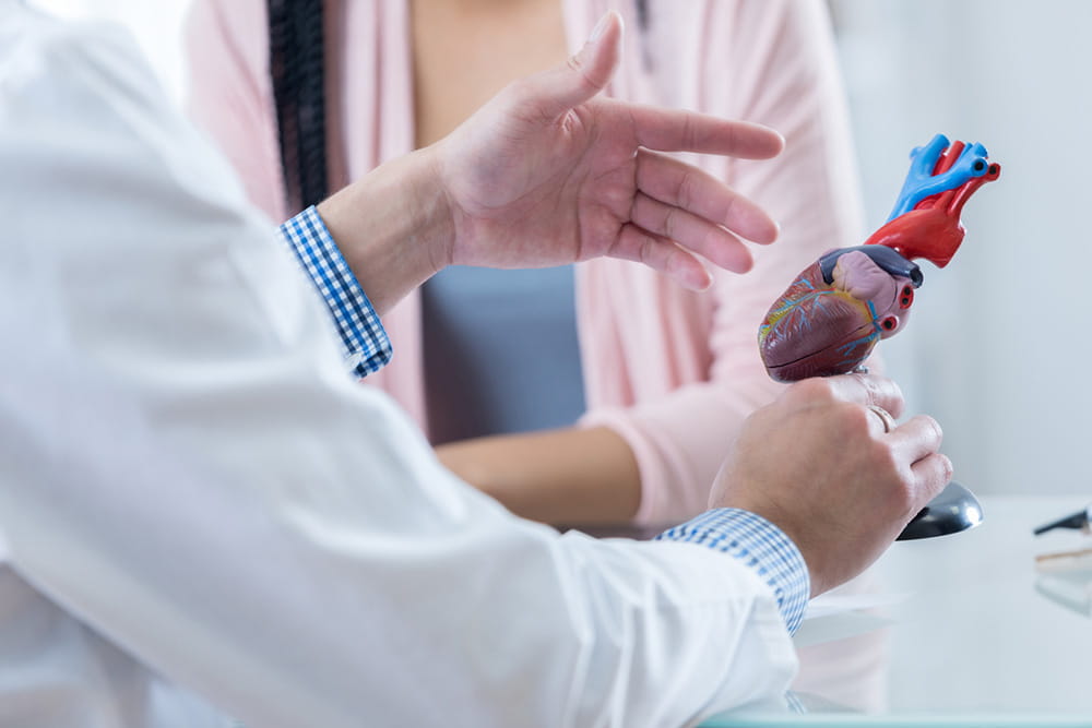 Physician gestures to a plastic model of a heart