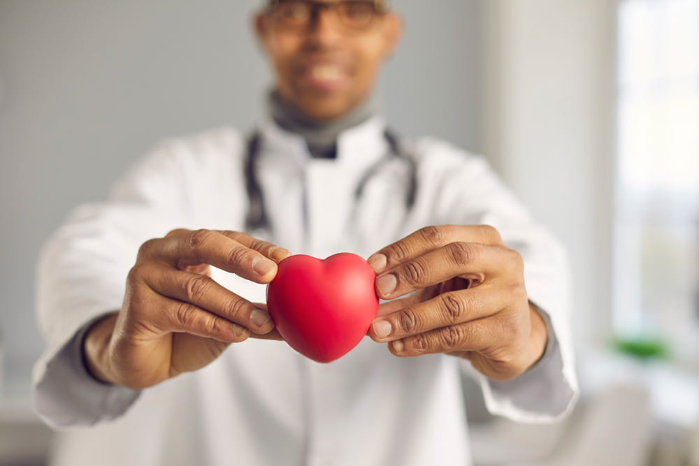 Physician holding a foam heart