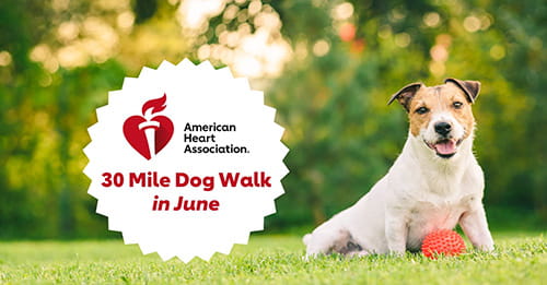 AHA 30 Mile Dog Walk in June
