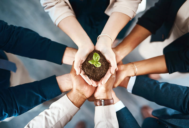 stacked hands holding a seedling