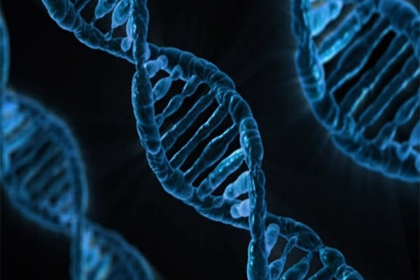 Genetic Testing for Hypertrophic Cardiomyopathy | American Heart ...