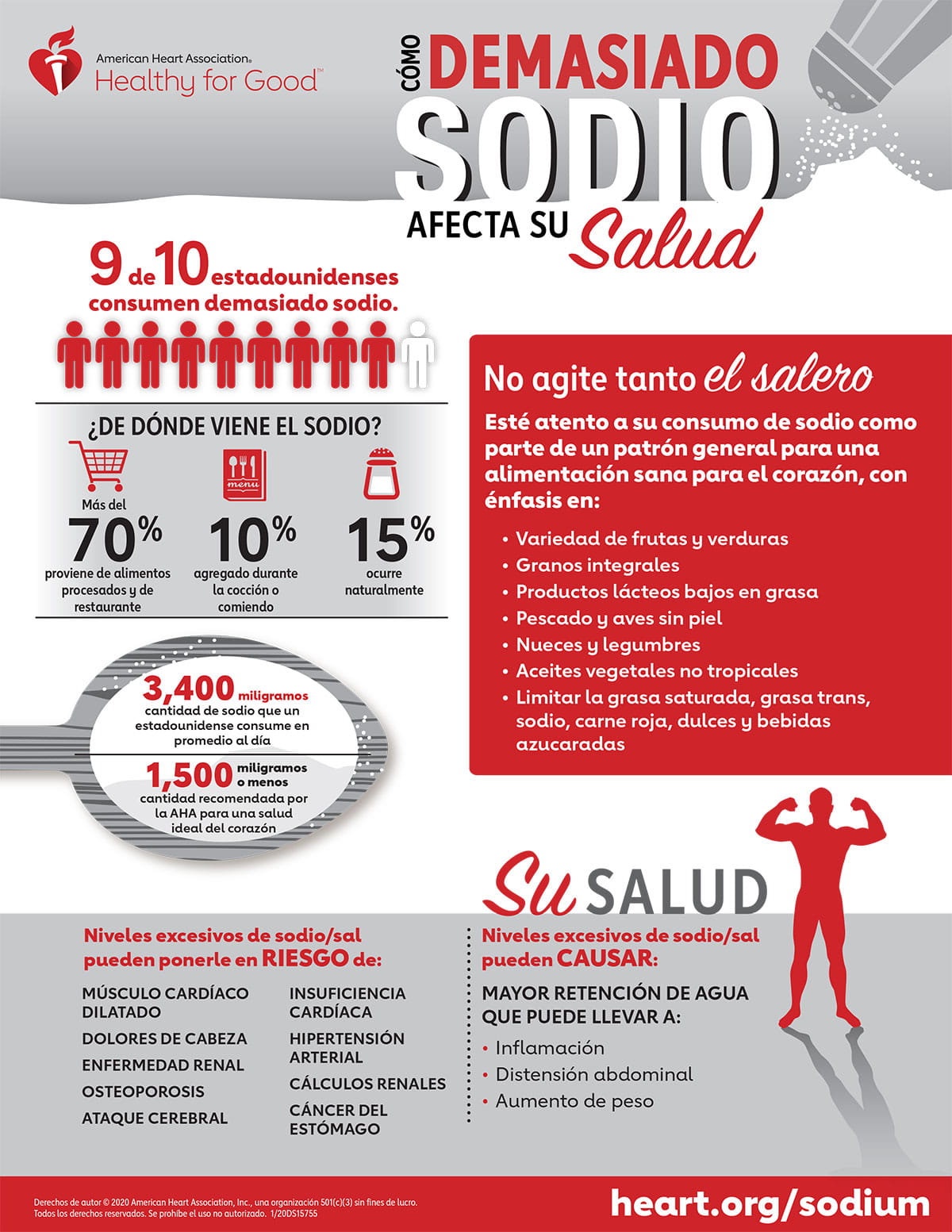 Effects of Excess Sodium Infographic Portuguese