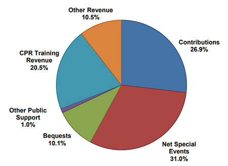 fiscal year 2019 through 2020 public expenses and other revenue pie chart