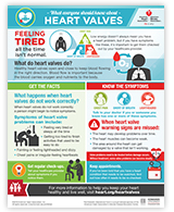 Heart Valve Infographic Thumbnail
