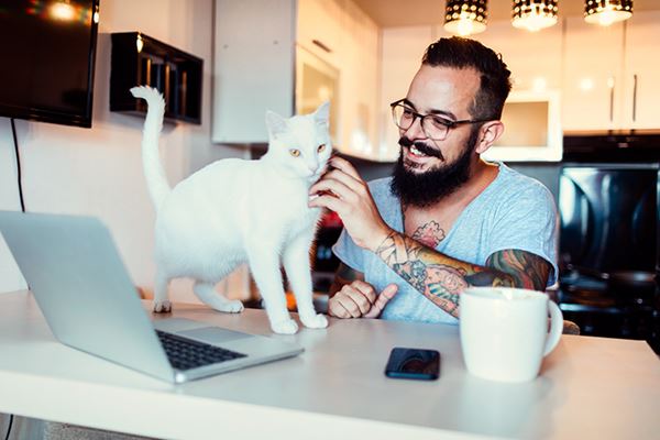 hipster using laptop with cat Couple using laptop on couch with dog