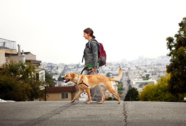woman walking dog in urban setting woman walking dog in urban setting
