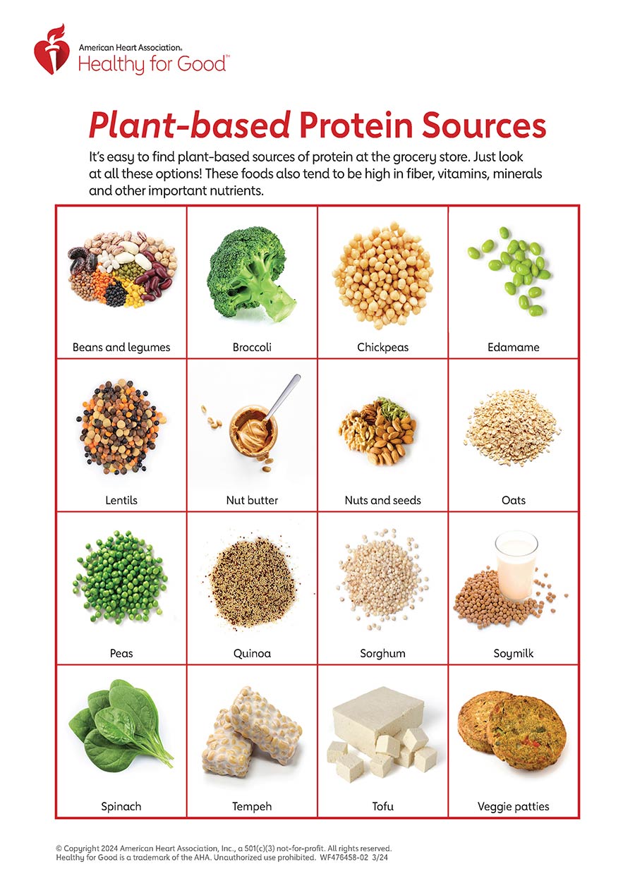 Plant-Based Protein Infographic | American Heart Association