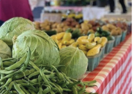 Pittsburgh Vegetables