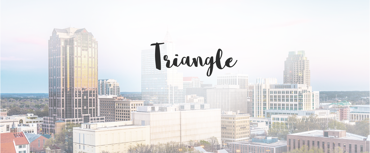 Triangle NC page header