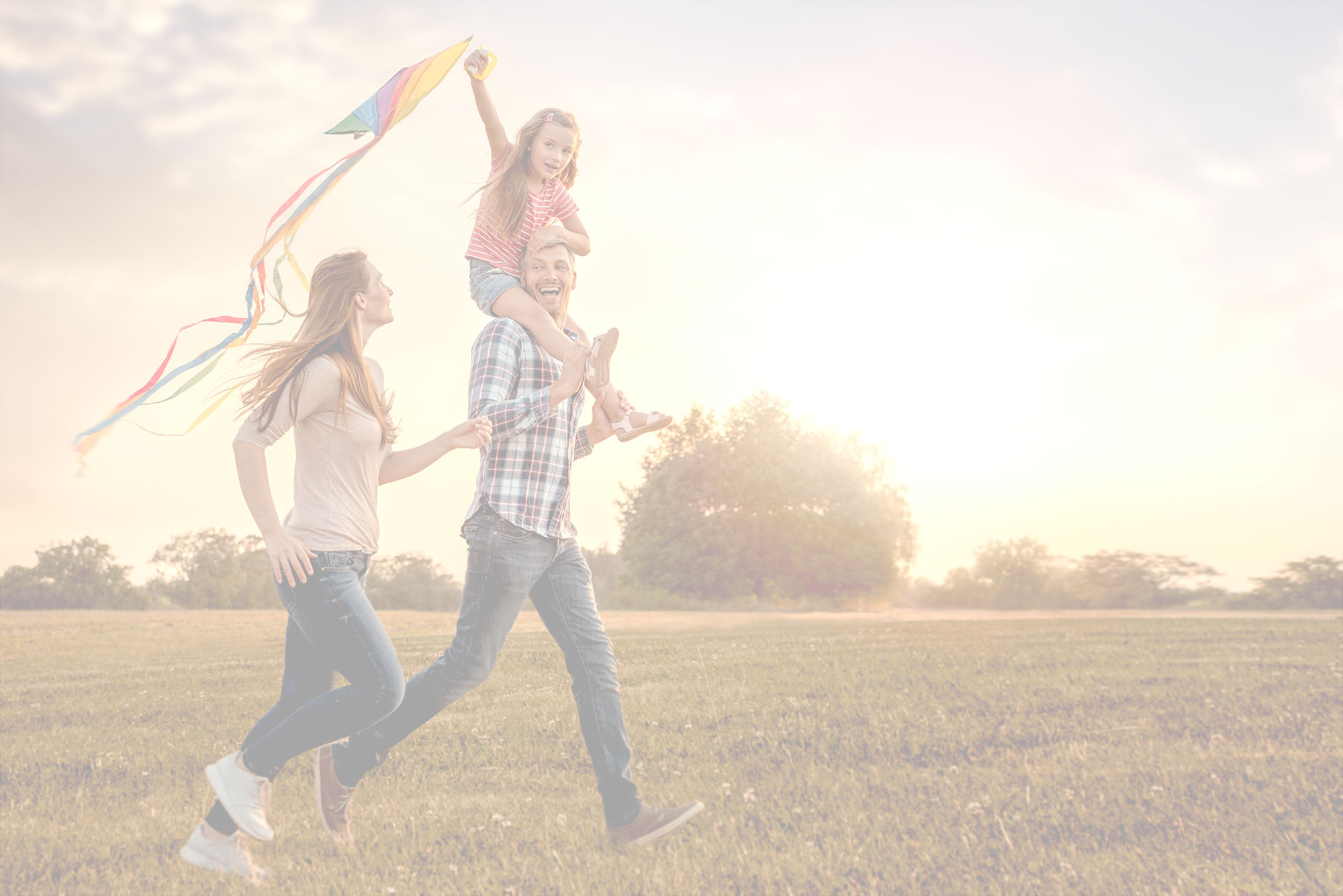 Family flying a kite in a park
