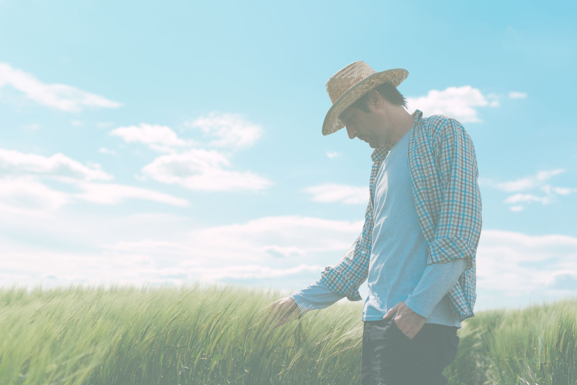 Farmer walking through a field
