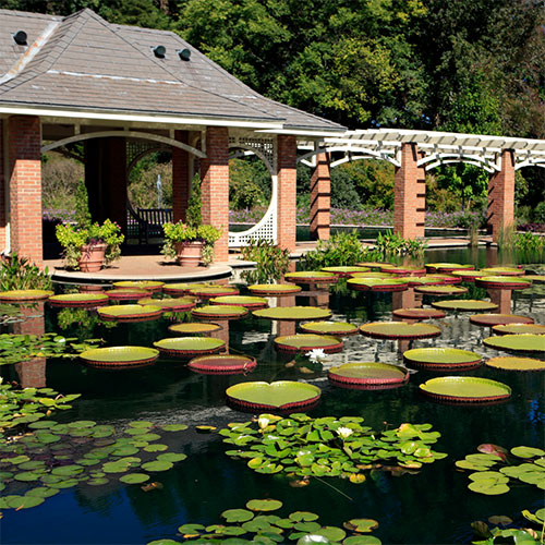 Huntsville Garden