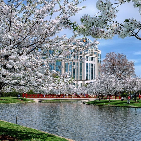 Downtown Huntsville