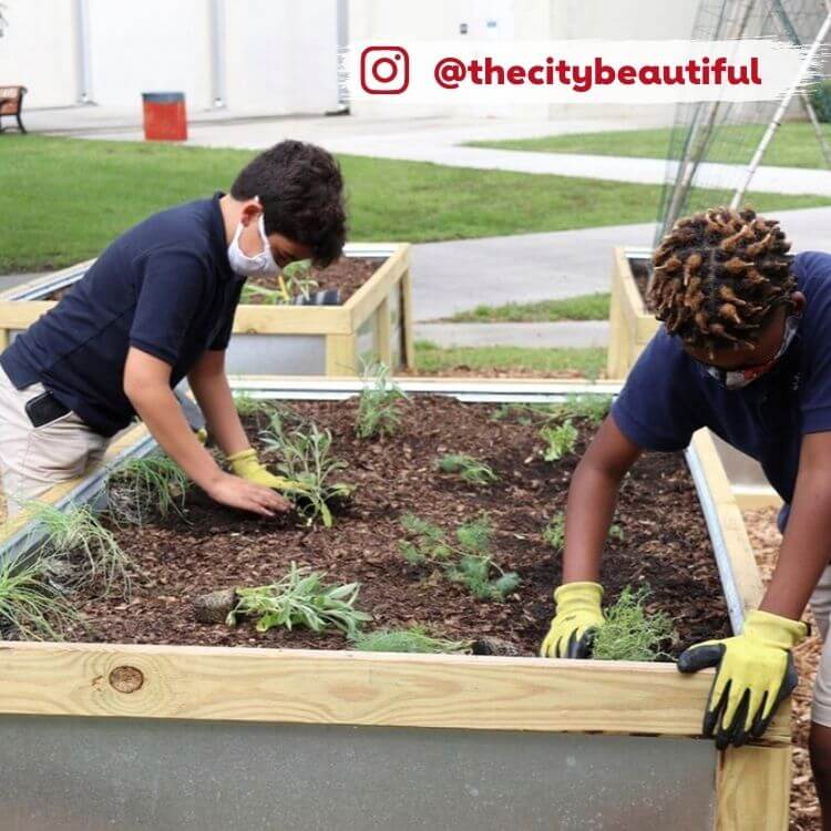 people planting plants in a garden box