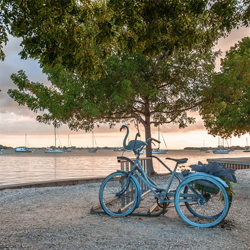 Suncoast Bicycle