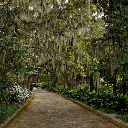 Tallahassee Pathway