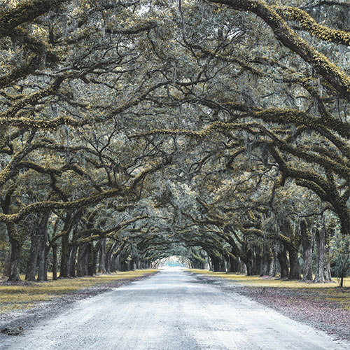 Columbus Pathway